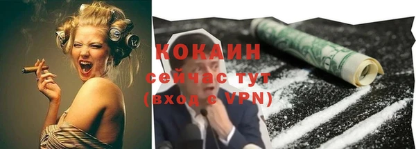 сатива Алзамай