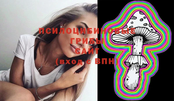сатива Алзамай