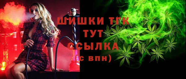 дмт Алексин