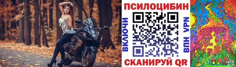 мега   Шатура  Псилоцибиновые грибы GOLDEN TEACHER 