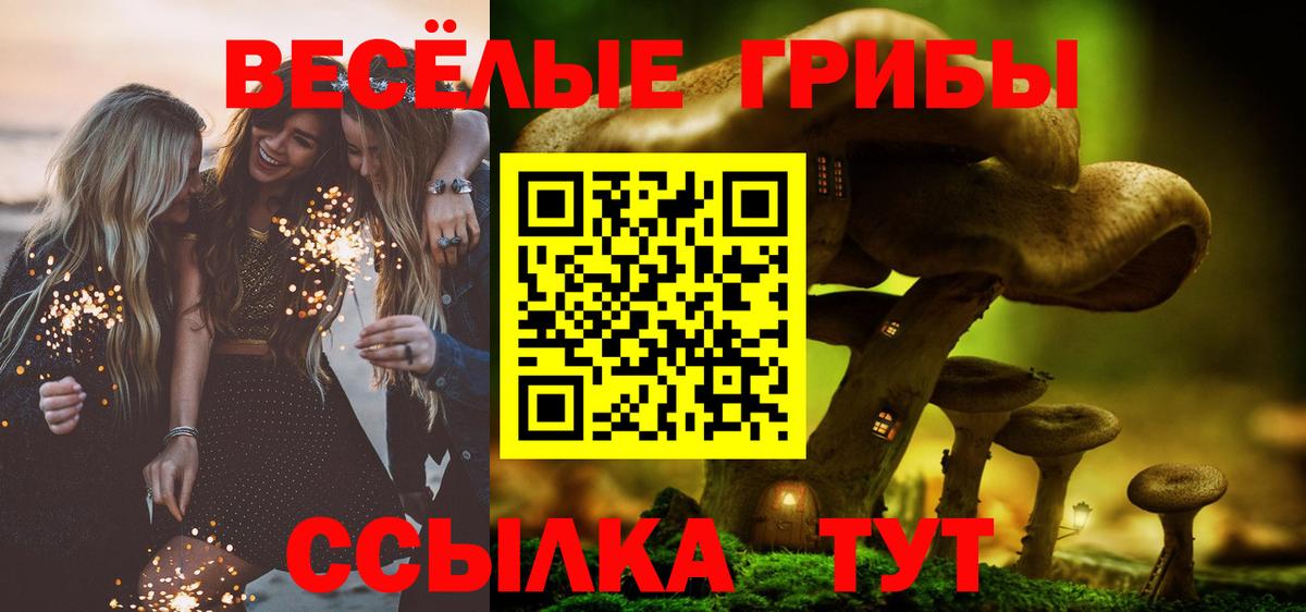Псилоцибиновые грибы ЛСД Шатура