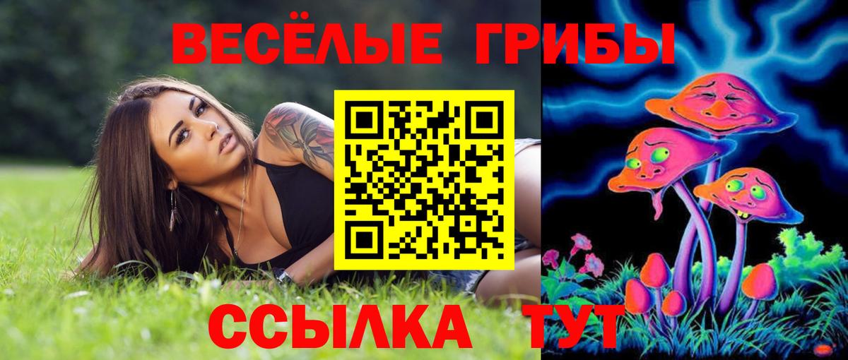 дарнет шоп  Вход с VPN  Галлюциногенные грибы GOLDEN TEACHER  Шатура  Галлюциногенные грибы Magic Shrooms 